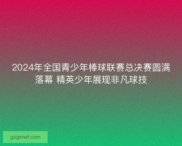 2024年全国青少年棒球联赛总决赛圆满落幕 精英少年展现非凡球技